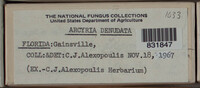 Image Associated With the Occurence